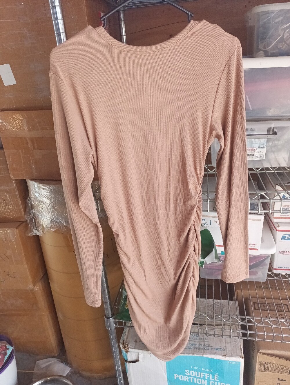 Ruched Long Sleeve Bodycon Dress in Nude Blush